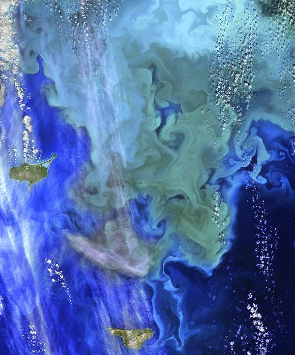 A satellite image of ocean colors from NASA, with varying shades of blue and green representing different water depths or features.