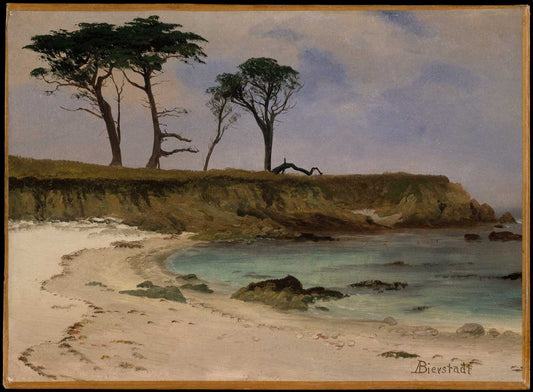 Sea Cove by Albert Bierstadt