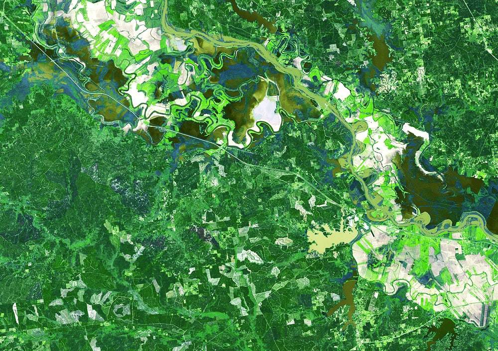 A satellite image of Mid-South USA featuring various shades of green, representing different terrains or land cover types.