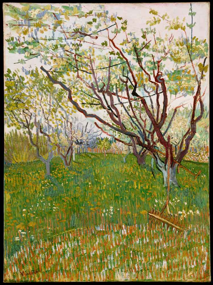 Flowering Orchard by Vincent van Gogh 1888