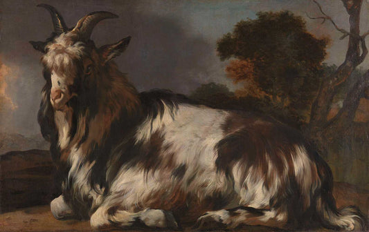 Goat Lying Down by Jan Weenix 1645