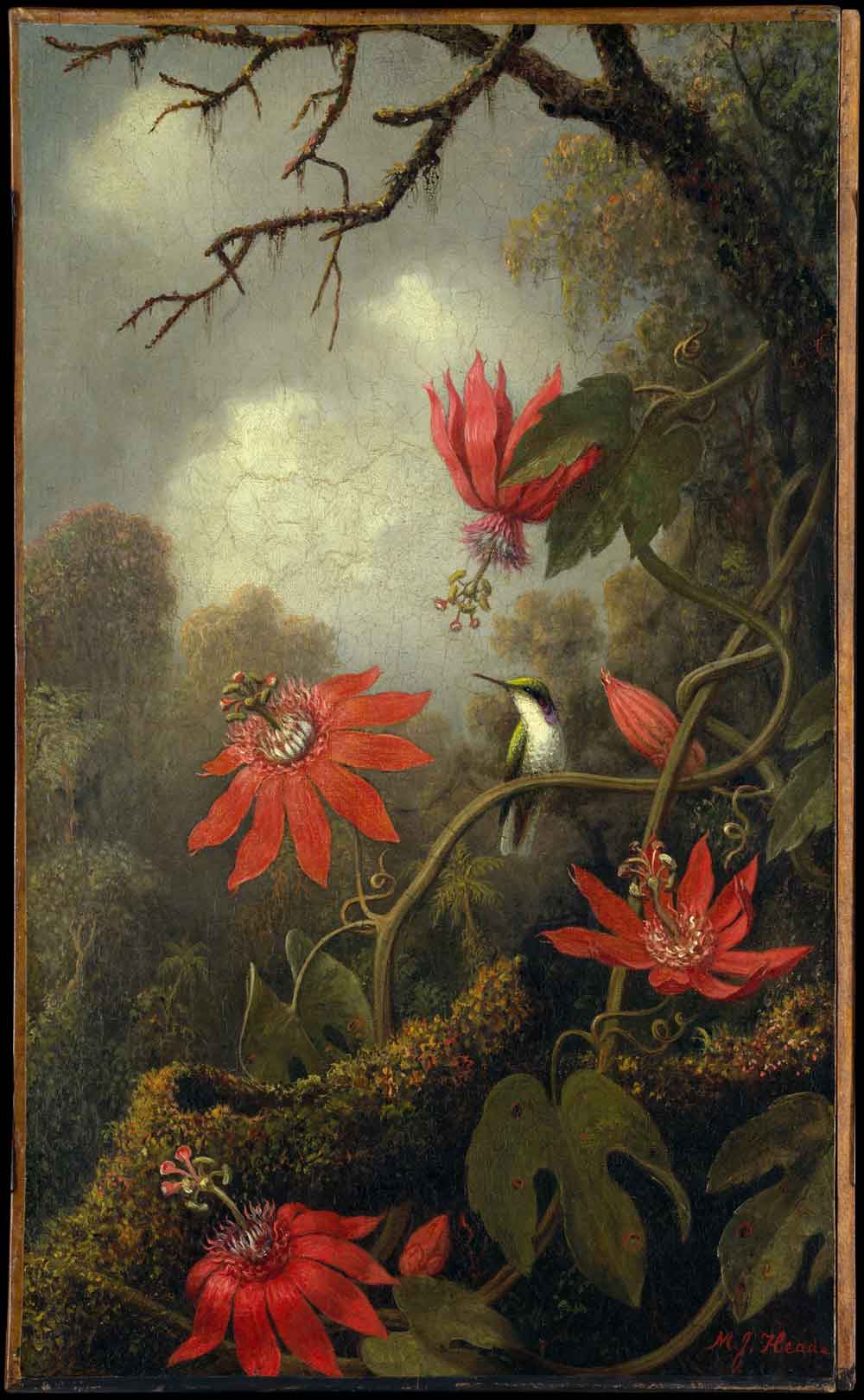 Hummingbird and Passionflowers by Martin Heade 1875