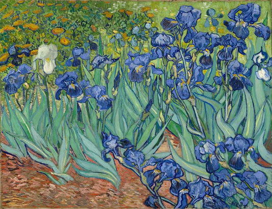 Irises by Vincent van Gogh 1889