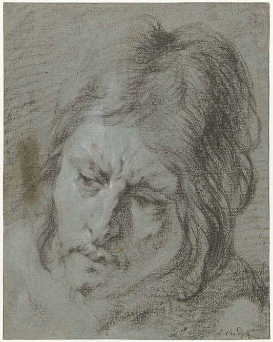 Man's Head Study by Anthony van Dyck 1610