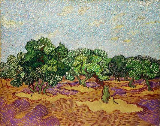 Olive Trees (1889) by Vincent Van Gogh