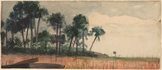 Palm Trees, Red by Winslow Homer 1890