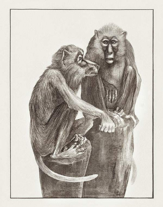 Twee hondapen op boomstronken (1878–1917) print in high resolution by Theo van Hoytema