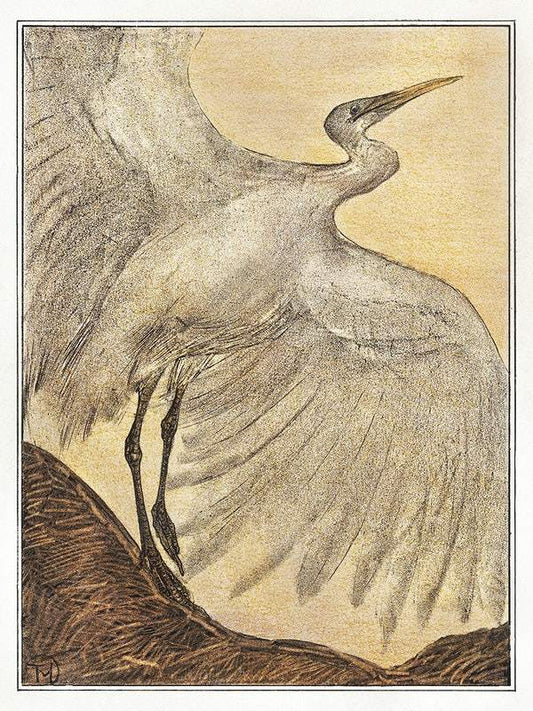 Zilverreiger (1878–1905) print in high resolution by Theo van Hoytema