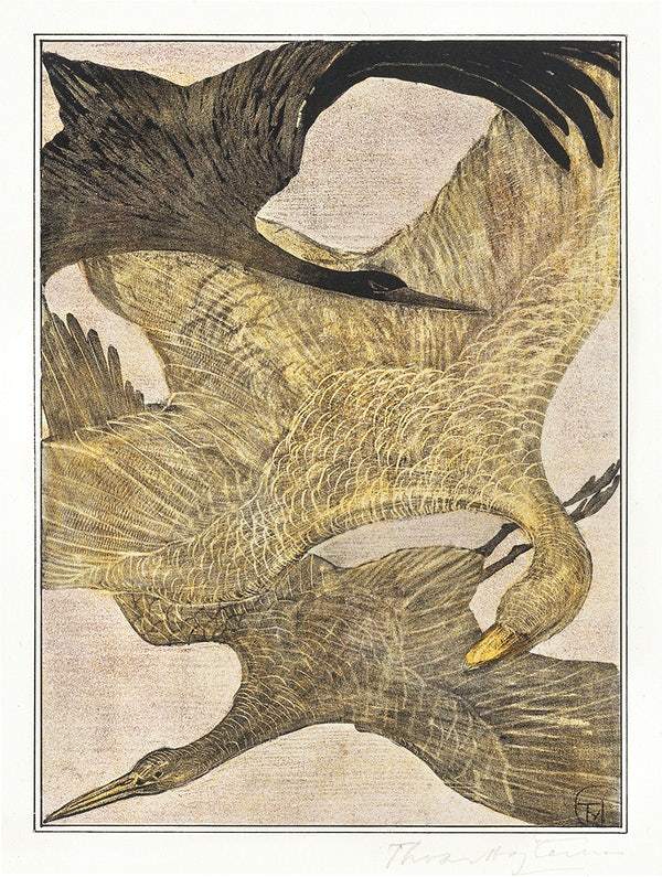 Drie vliegende vogels (1878–1905) print in high resolution by Theo van Hoytema