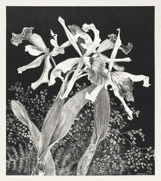 Orchids (1900) print in high resolution by Theo van Hoytema
