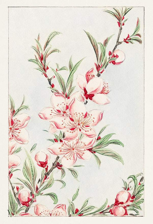 Peach tree branches with leaves and blossoms during 1870–1880 by Megata Morikaga