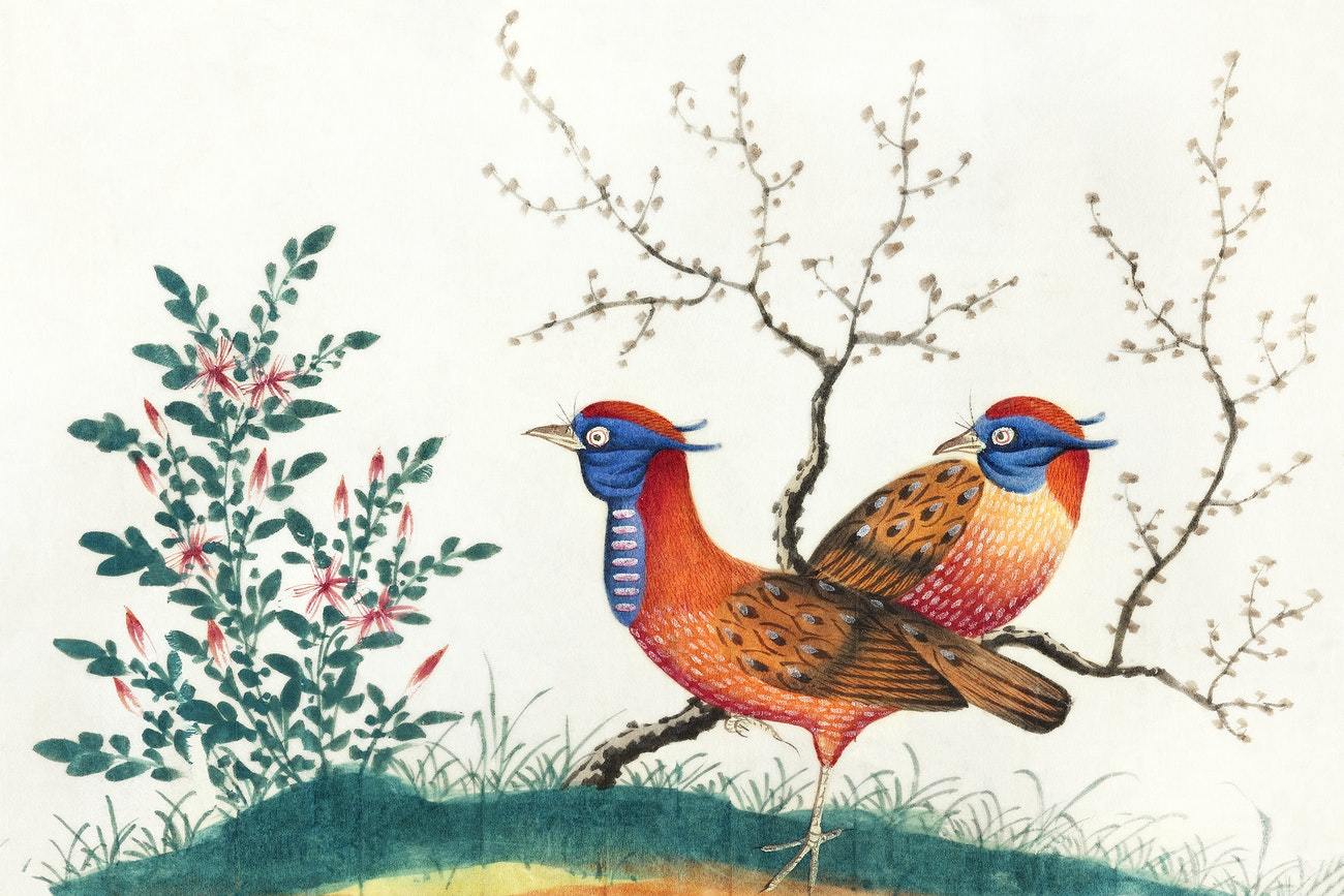 Chinese painting featuring two pheasant-like birds of China