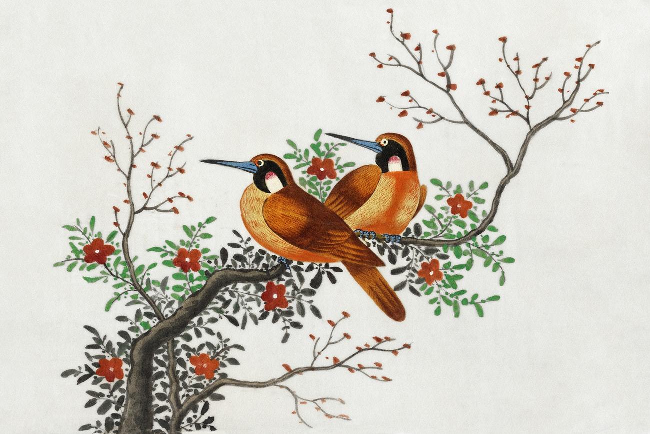 Chinese painting two birds of China