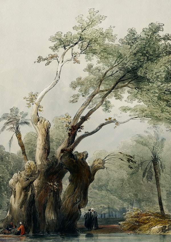 The holy tree of Metereah by David Roberts (1796-1864)