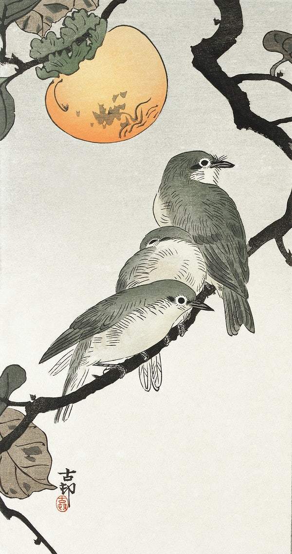 Birds and plants (1900 - 1936) by Ohara Koson