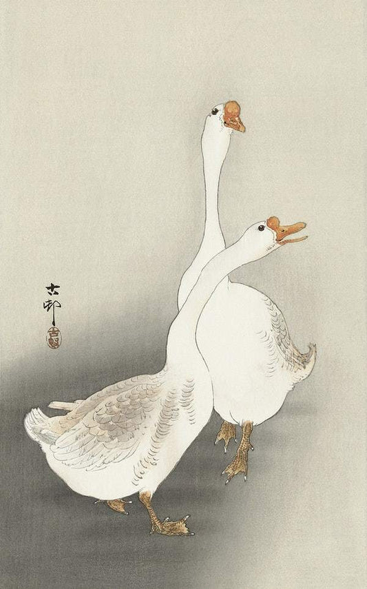 Two geese (1900-1930) by Ohara Koson