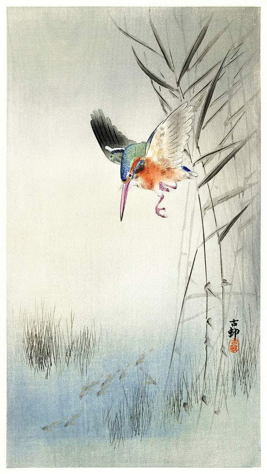 Kingfisher hunting for fish in the water (1900) by Ohara Koson