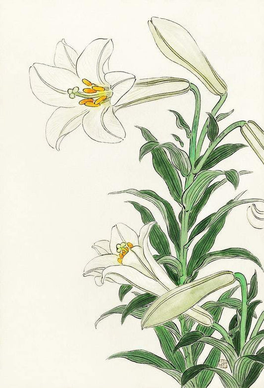 Lilies (1912 - 1930) by Ohara Koson