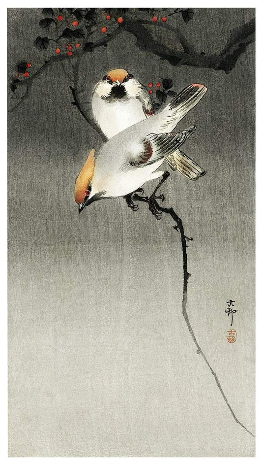 Bohemian waxwing birds (1900-1930) by Ohara Koson