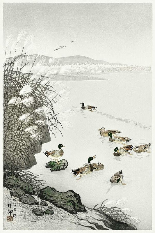 Ducks in the water (1931) by Ohara Koson