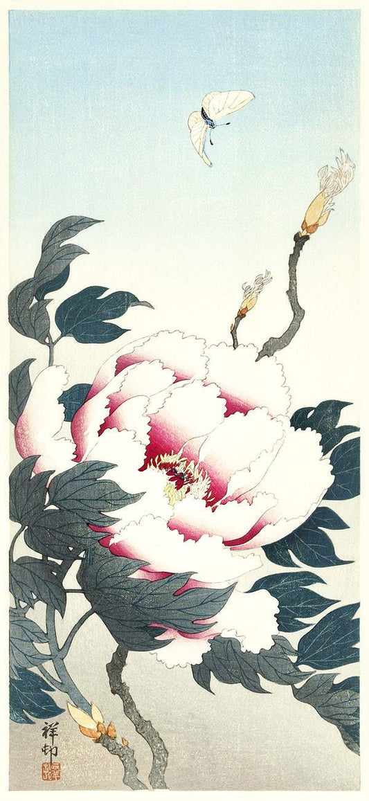 Peony with butterfly (1925 - 1936) by Ohara Koson