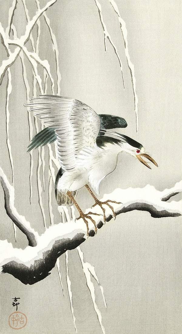 Emerge on snowy branch (1900 - 1930) by Ohara Koson