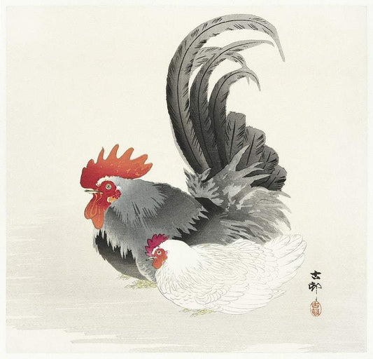 Chicken and cock (1900 - 1936) by Ohara Koson