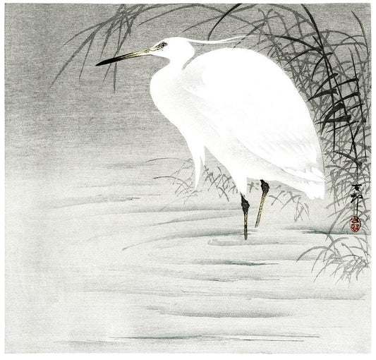 Little Egret (1900 - 1930) by Ohara Koson