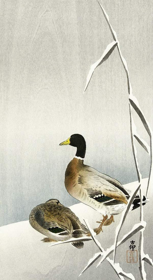 Two ducks on snowy reed (1900 - 1930) by Ohara Koson