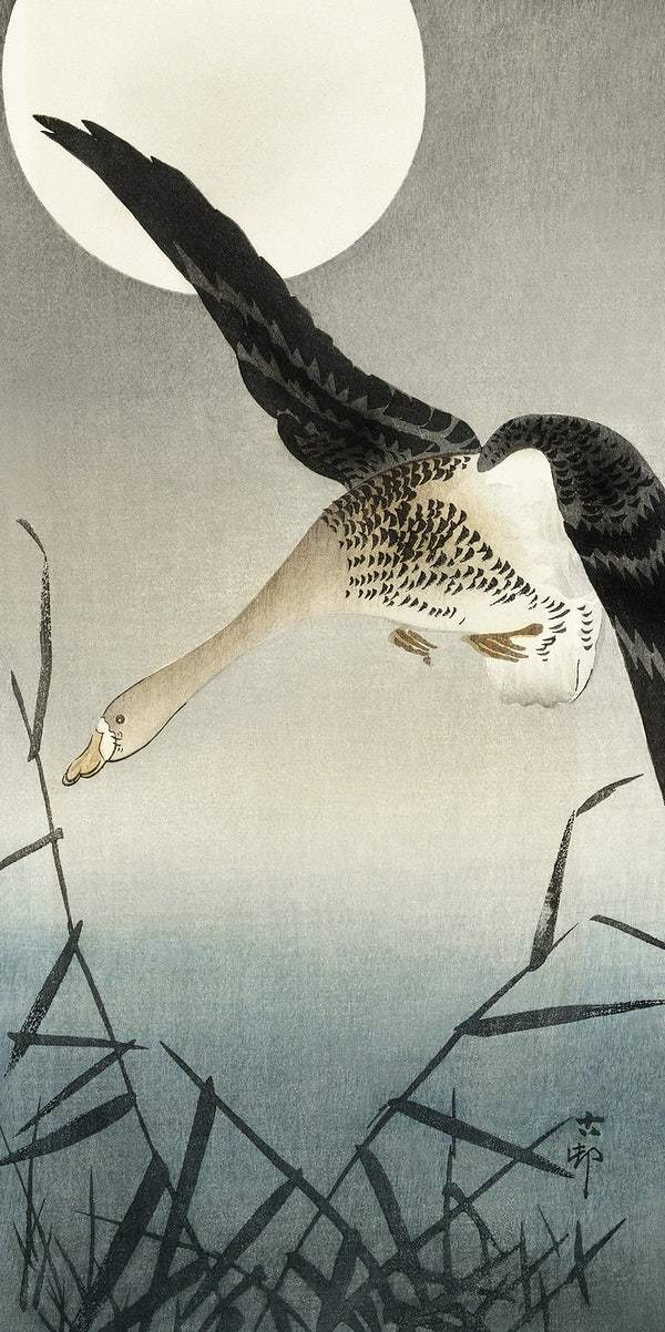 White-fronted goose at full moon (1900 - 1930) by Ohara Koson