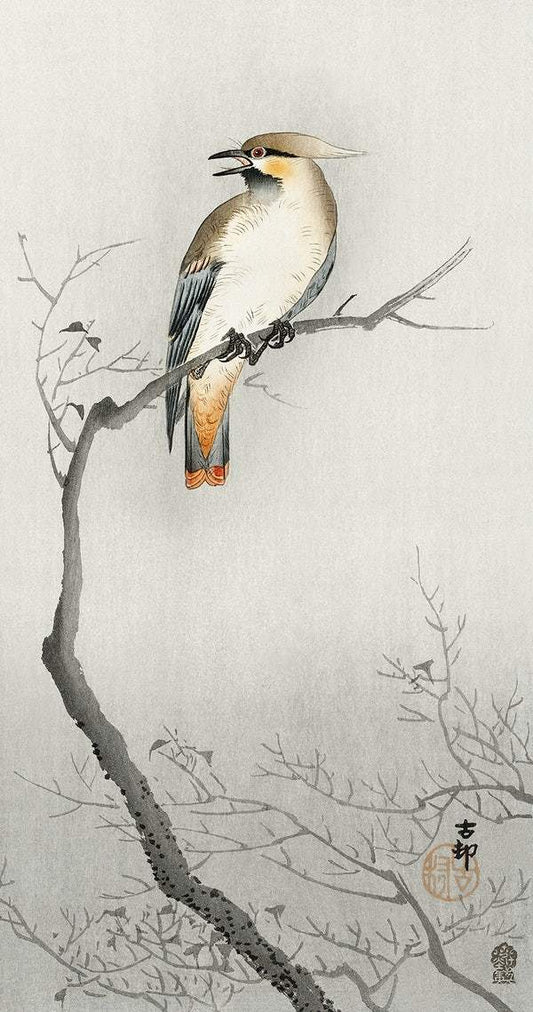 Japanese plague bird on branch (1900 - 1910) by Ohara Koson