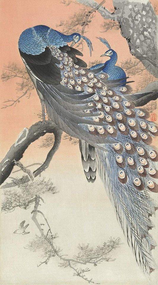 Two peacocks on tree branch (1900 - 1930) by Ohara Koson