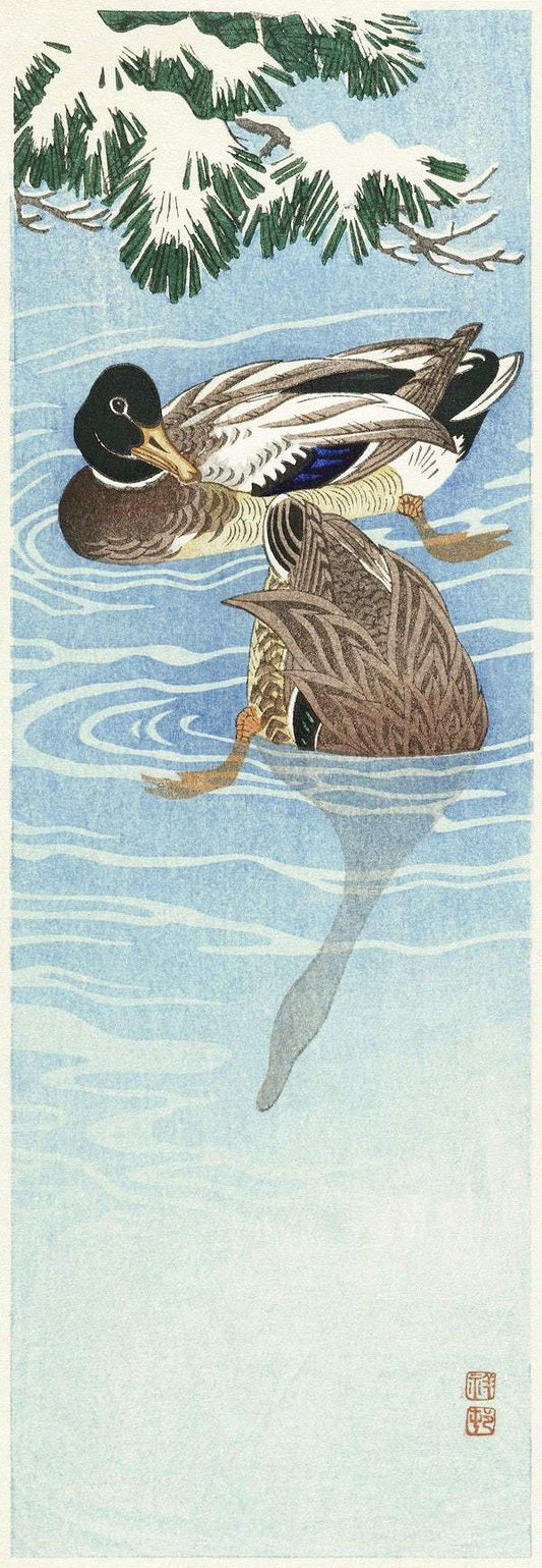 Couple of ducks in the water (1925 - 1936) by Ohara Koson (1877-1945).