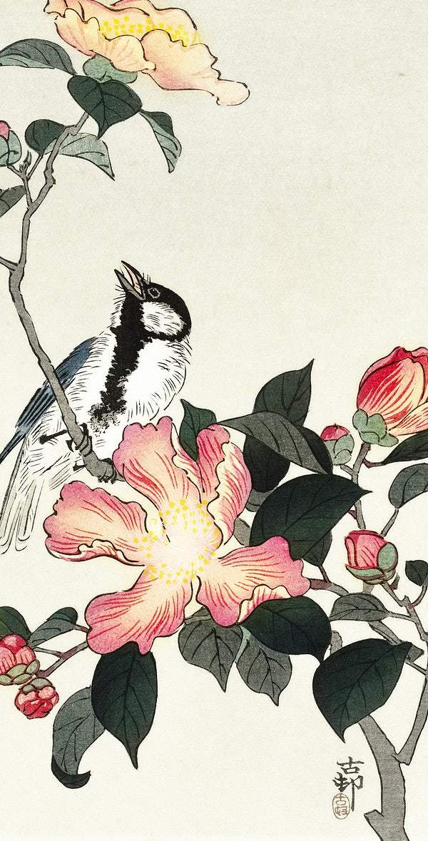 Great tit on branch with pink flowers (1900 - 1930) by Ohara Koson