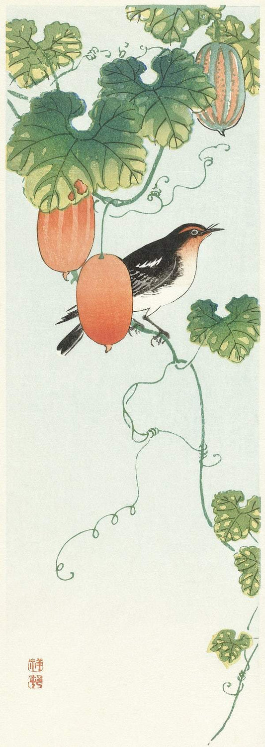 Songbird in cucumber plant (1925 - 1936) by Ohara Koson