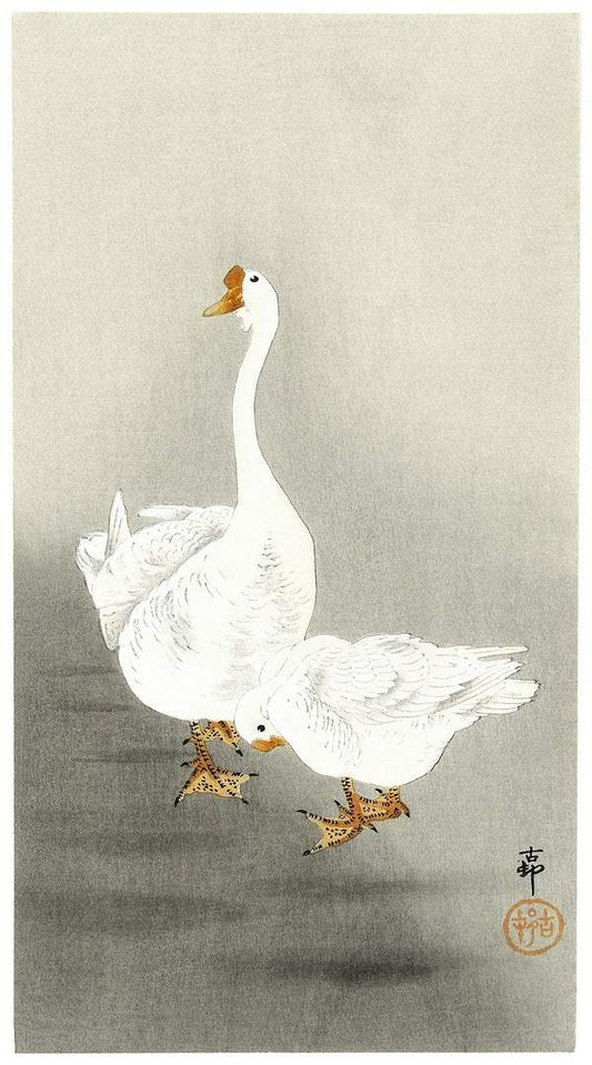 Two geese (1900 - 1930) by Ohara Koson