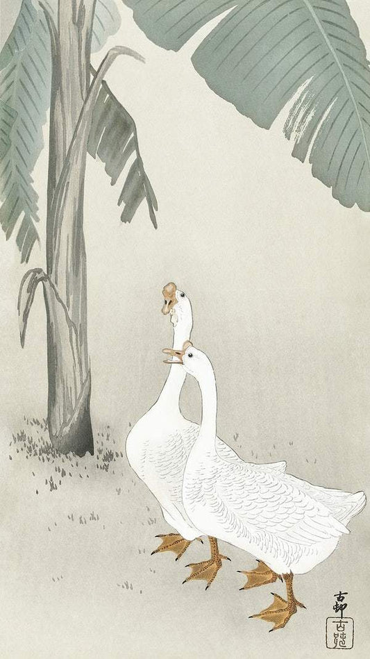 Two geese at banana tree (1900 - 1945) by Ohara Koson