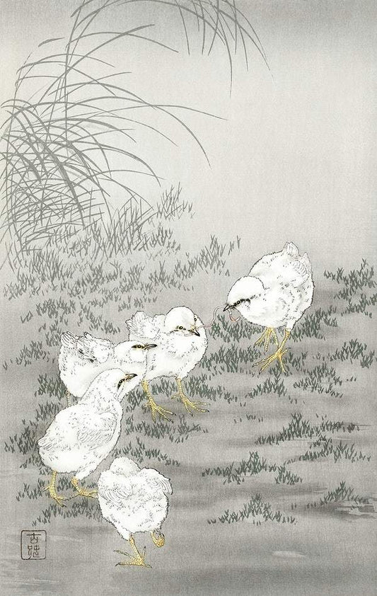 Five chicks (1900 - 1936) by Ohara Koson