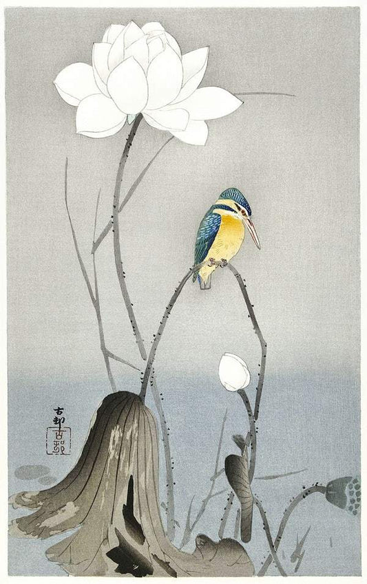 Kingfisher with Lotus Flower (1900 - 1945) by Ohara Koson