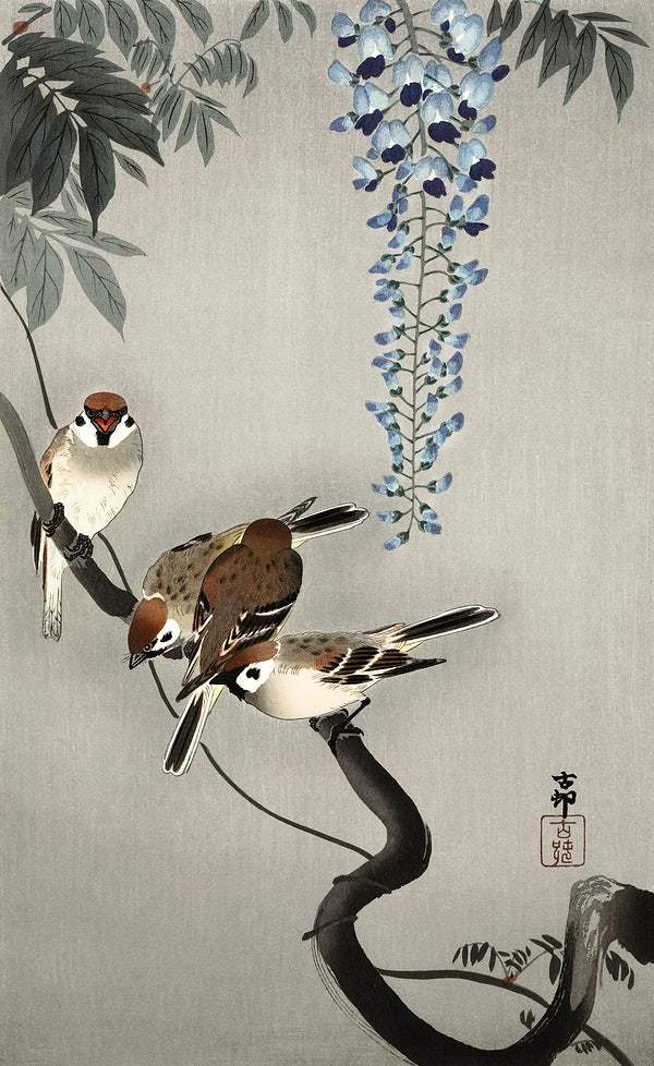 Ring sparrows at wisteria (1900 - 1936) by Ohara Koson