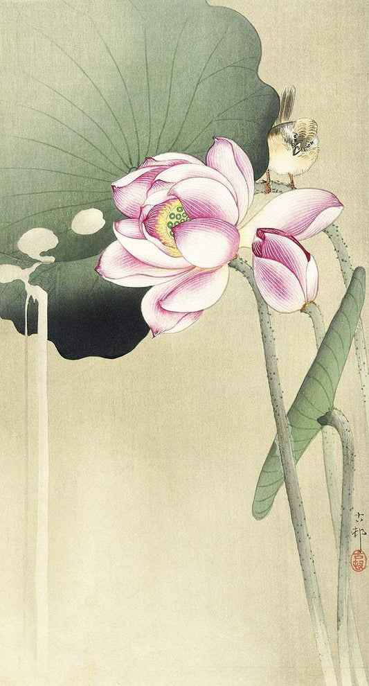 Songbird and Lotus (1900 - 1936) by Ohara Koson