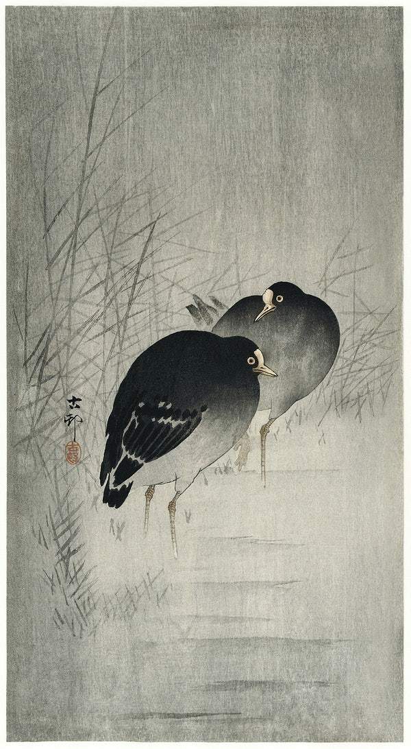 Moorhills between reeds (1900 - 1930) by Ohara Koson