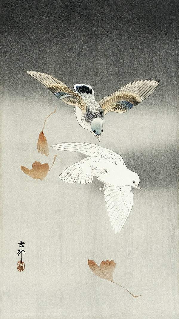 Two pigeons with falling ginkgo leaves (1900 - 1930) by Ohara Koson