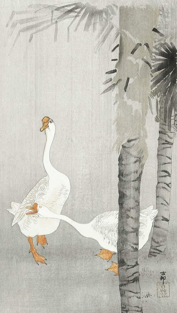 Tame geese in rain (1900 - 1936) by Ohara Koson