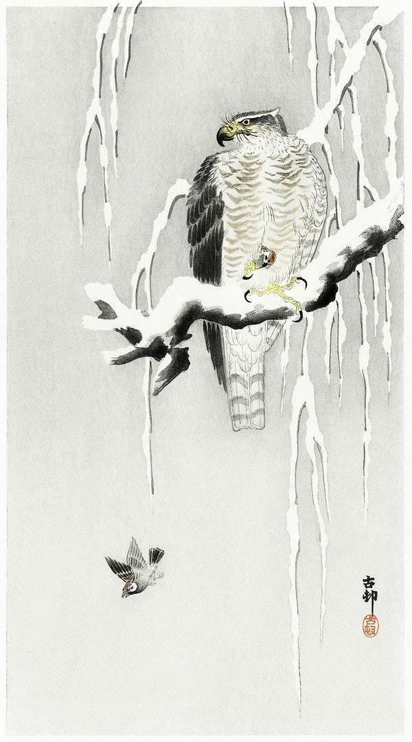 Hawk with captured ring sparrow (1900 - 1930) by Ohara Koson