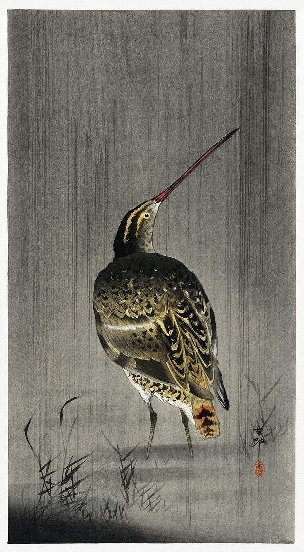 Snipe in the rain (1900 - 1930) by Ohara Koson