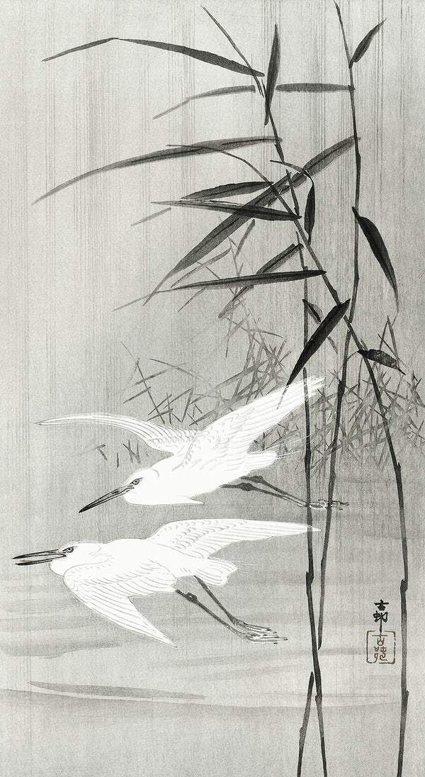 Two egrets in flight (1900 - 1936) by Ohara Koson