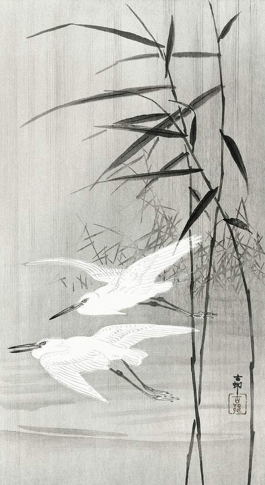 Two egrets in flight (1900 - 1936) by Ohara Koson