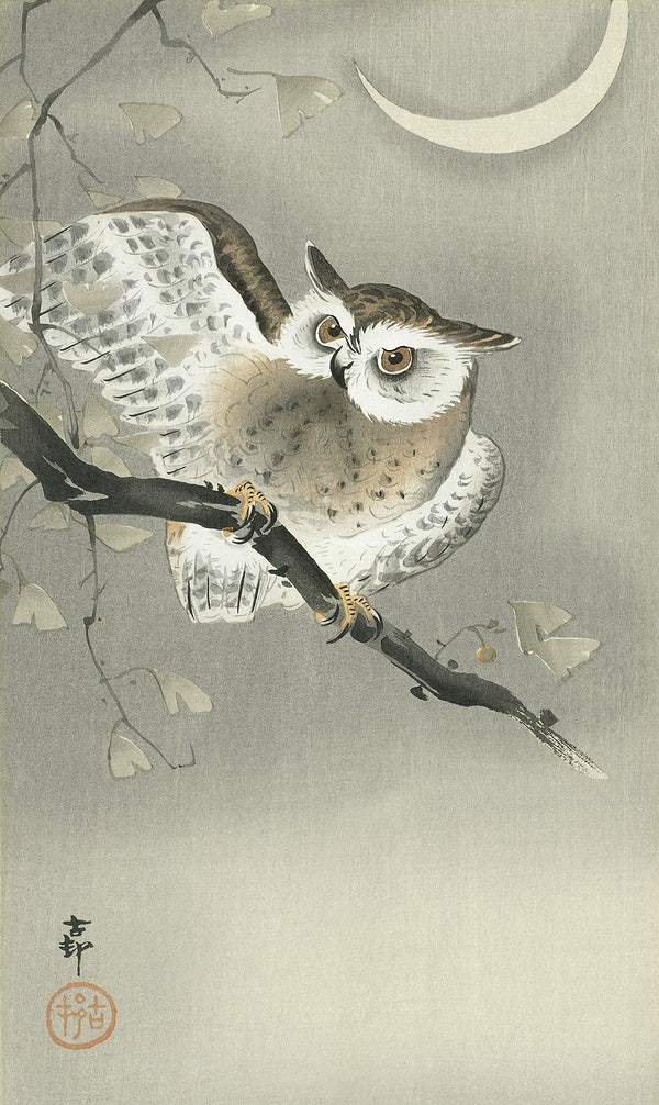 Long-eared owl in ginkgo (1900 - 1930) by Ohara Koson