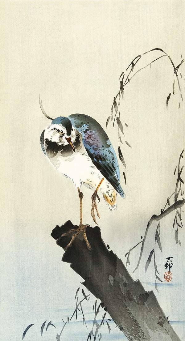 Lapwing on tree stump (1900 - 1930) by Ohara Koson